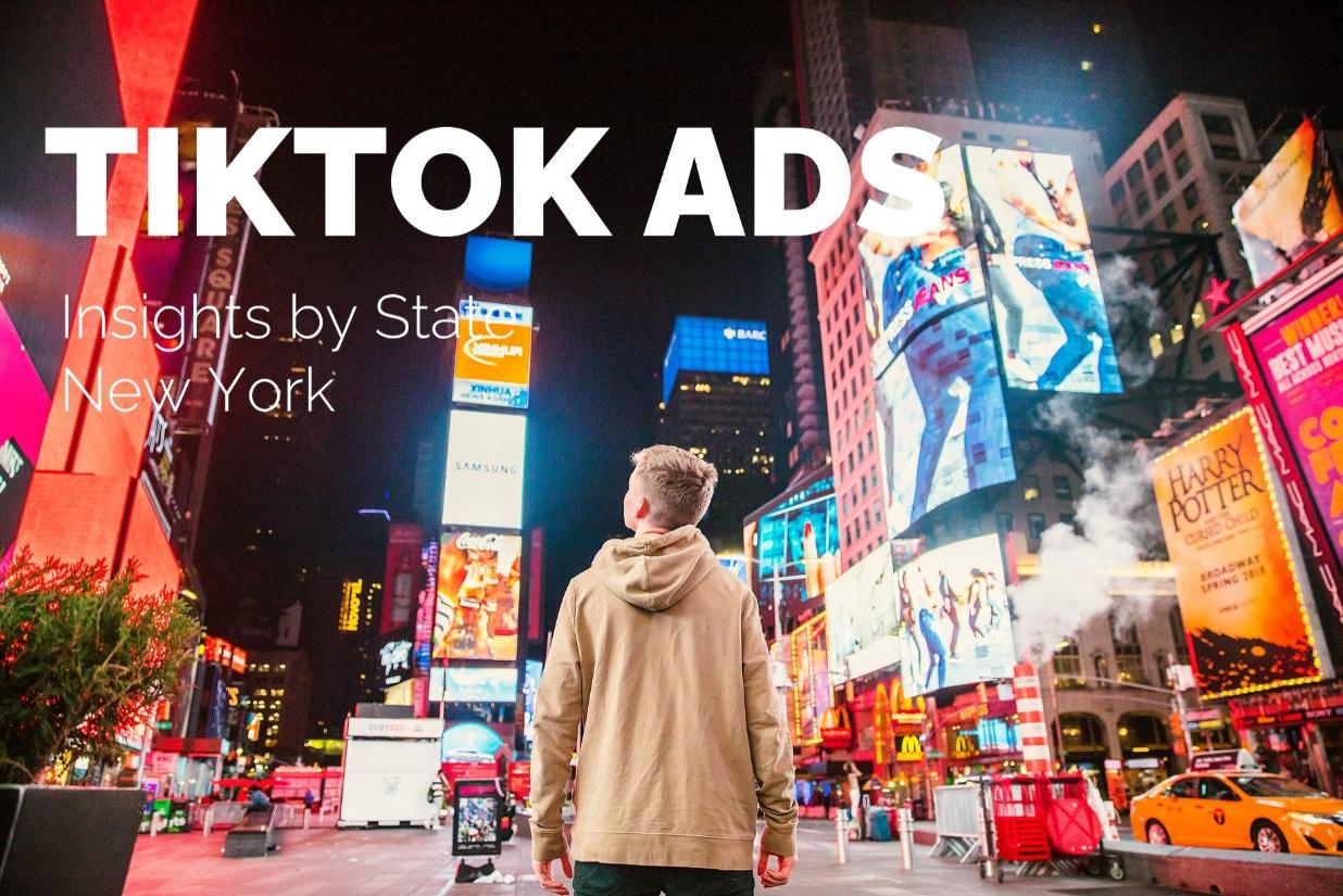 Discover New York’s TikTok Audience: 8M Users, Full Audience Landscape Overview
