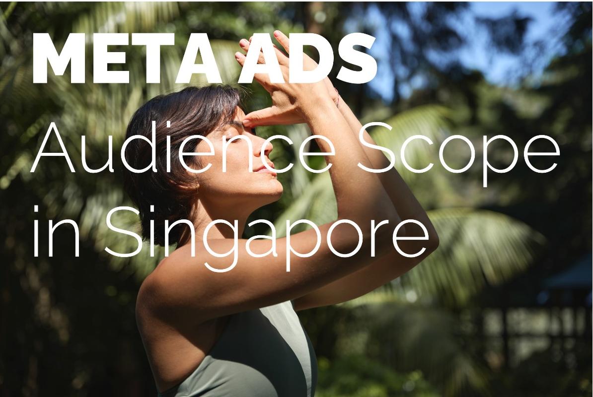Meta Ads Audience in Singapore. Facebook and Instagram Capacity in 2025