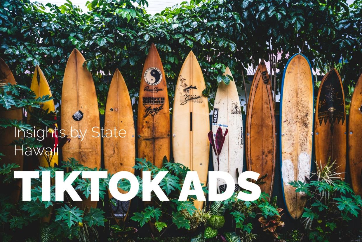 Learn More About Hawaii’s TikTok Audience: 403K Users, Short Overview