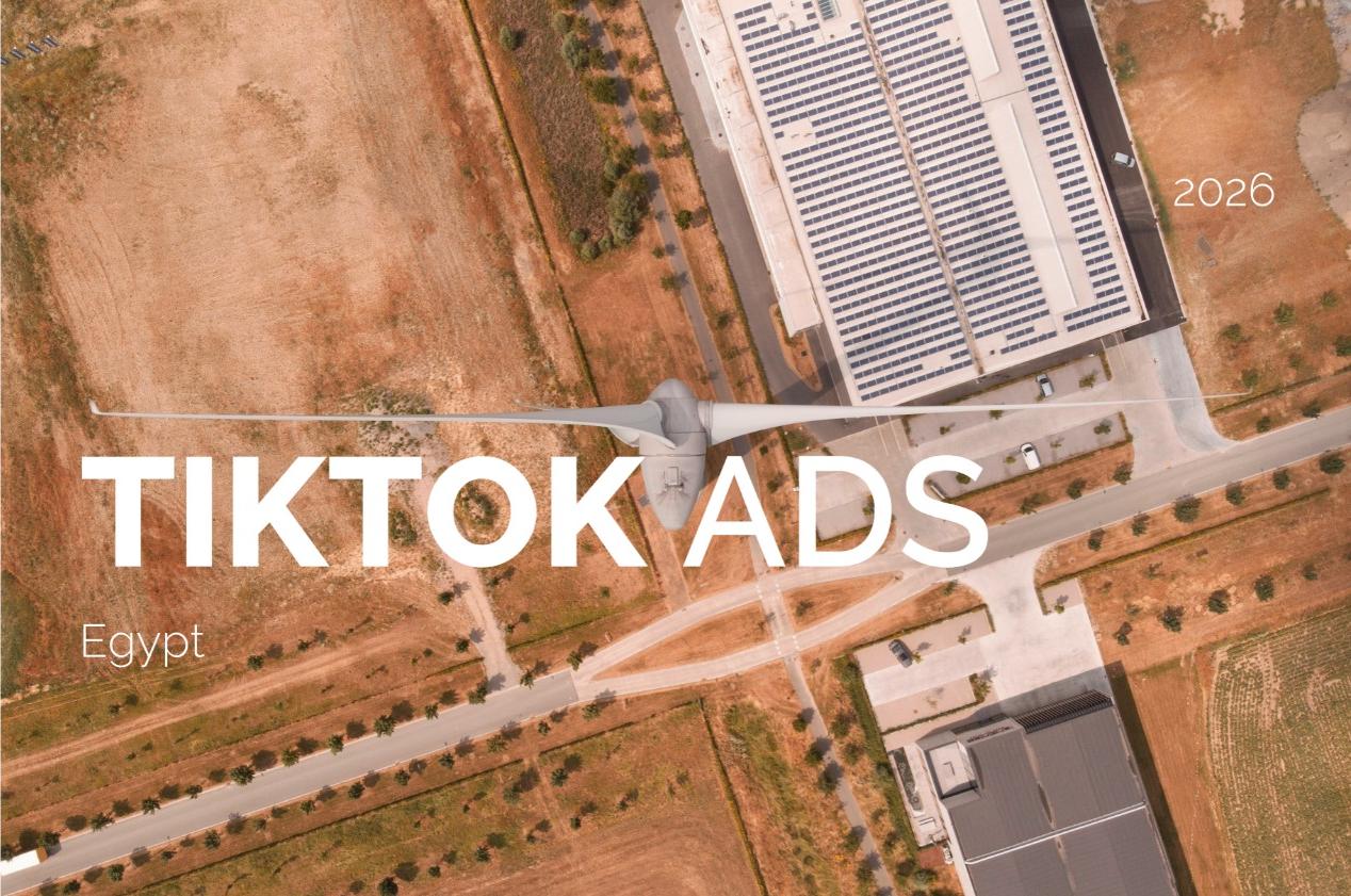 TikTok Ads Audience in Egypt: 2026 Breakdown