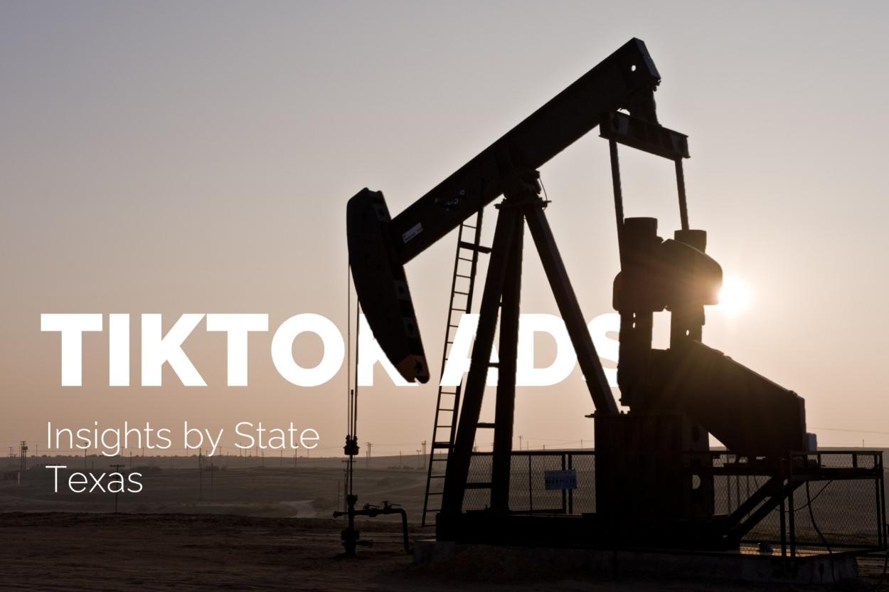 Explore Texas TikTok Audience: 14M Users, Full Landscape Overview