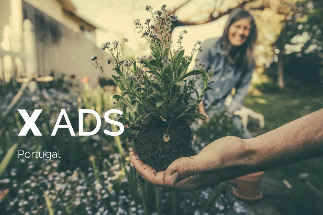 X Ads Audience in Portugal: Forecast Reach by Age Range and Gender