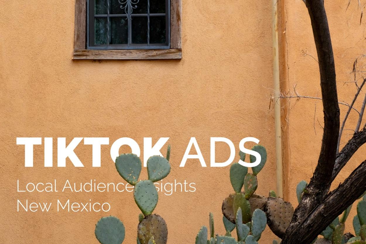 Learn More About New Mexico TikTok Audience: 695K Users, Short Overview