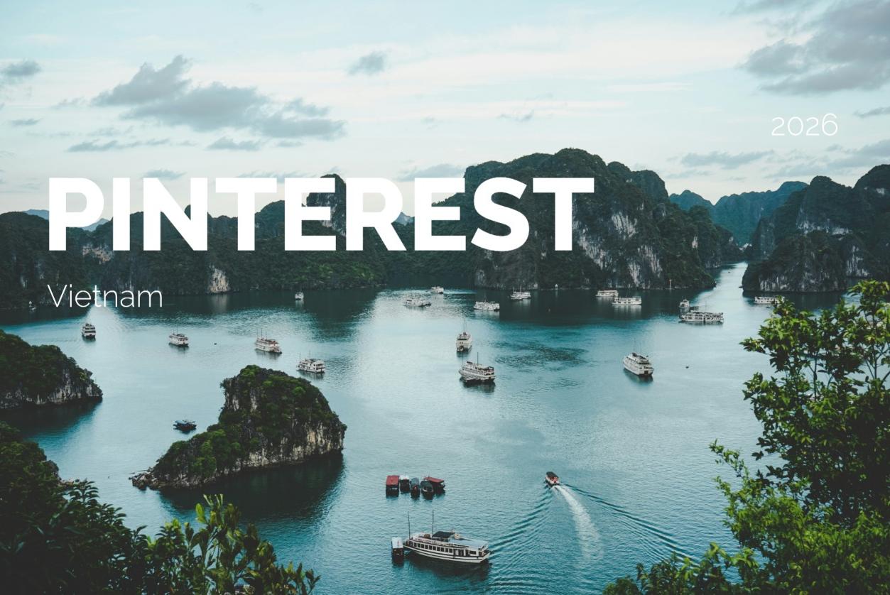 Vietnam Pinterest Ad Audience Size by Demographics