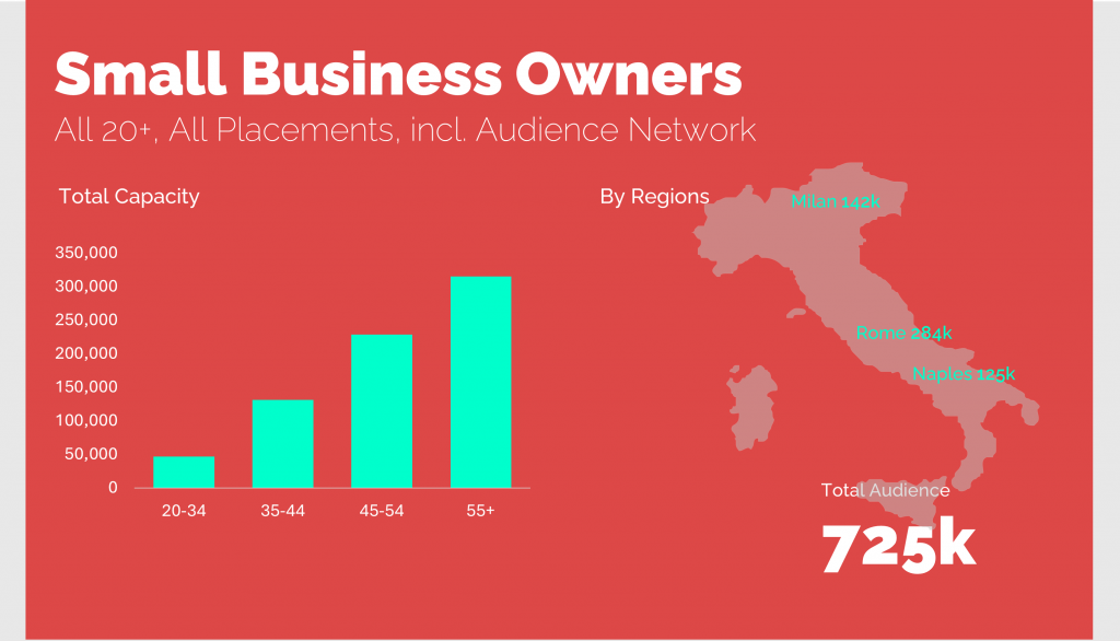 small business owners in italy. Meta Ads Audience
