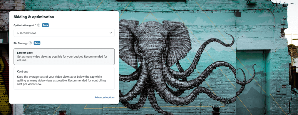 choose 6 sec views optimization in your reddit ads choose 6 sec views optimization in your reddit ads